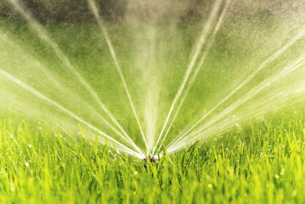 Irrigazione giardino Padova